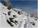 Planina Zajavornik - Debela peč